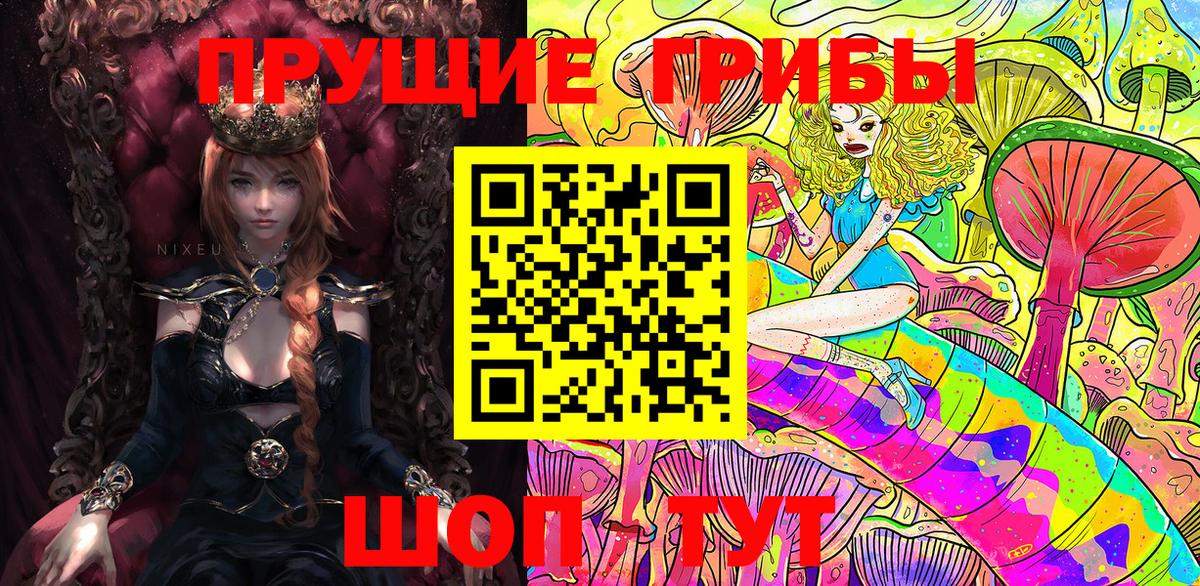 Псилоцибиновые грибы GOLDEN TEACHER Севастополь
