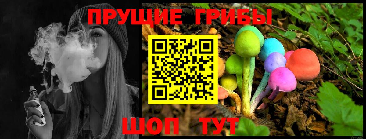 как найти   Галлюциногенные грибы мухоморы  Севастополь  Вход с VPN  Псилоцибиновые грибы MAGIC MUSHROOMS 